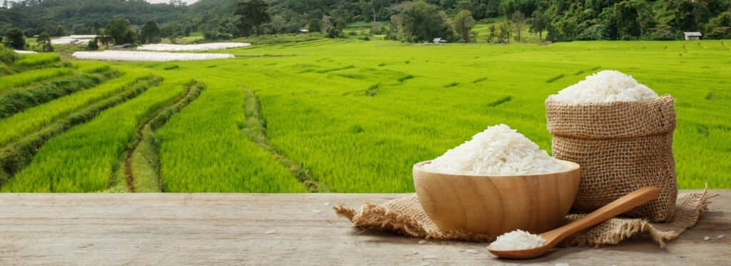 Premium Rice